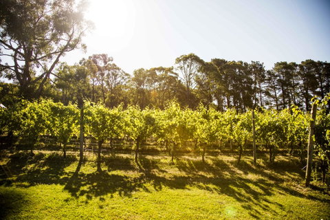 Polperro Villas - Accommodation Rockhampton 18