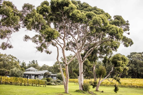 Polperro Villas - Accommodation Rockhampton 20