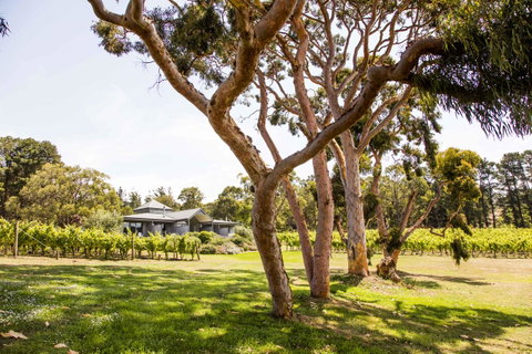 Polperro Villas - Accommodation Rockhampton 17