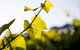 Polperro Villas - thumb 23