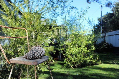 Cottage 4A - Accommodation Rockhampton 13