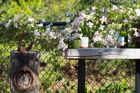 Cottage 4A - Accommodation Rockhampton 4