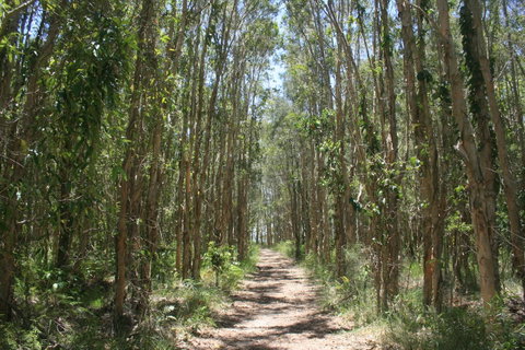 Lake Weyba Noosa Lodge & Kangaroos - Accommodation Rockhampton 39