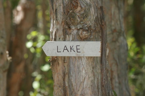 Lake Weyba Noosa Lodge & Kangaroos - Accommodation Rockhampton 36
