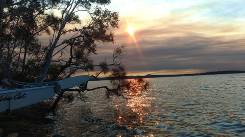 Lake Weyba Noosa Lodge & Kangaroos - Accommodation Rockhampton 40