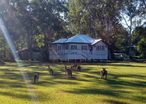 Lake Weyba Noosa Lodge & Kangaroos - Accommodation Rockhampton 0
