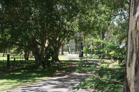 Lake Weyba Noosa Lodge & Kangaroos - Accommodation Rockhampton 34