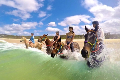 Salty Vibes Retreat - Accommodation Rockhampton 6