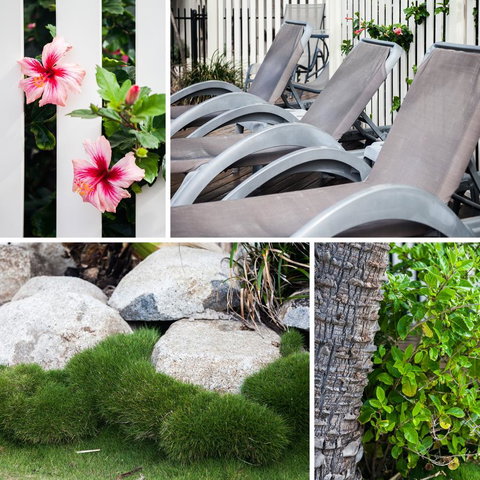 Coolum Caprice - Accommodation Rockhampton 22