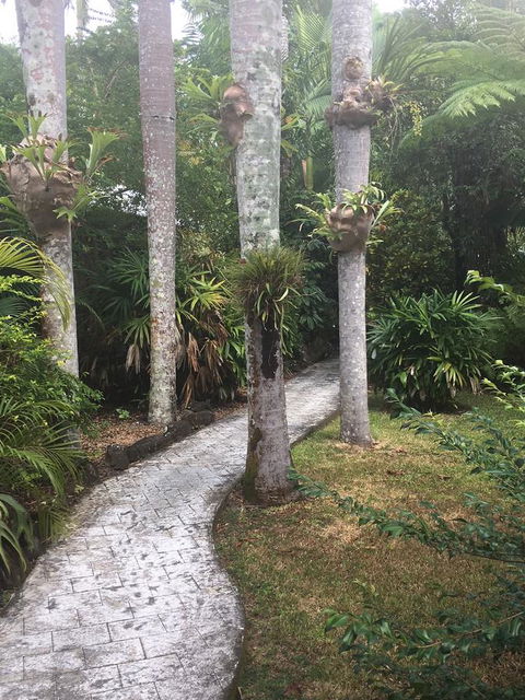 Eco Village Mission Beach - Accommodation Rockhampton 6