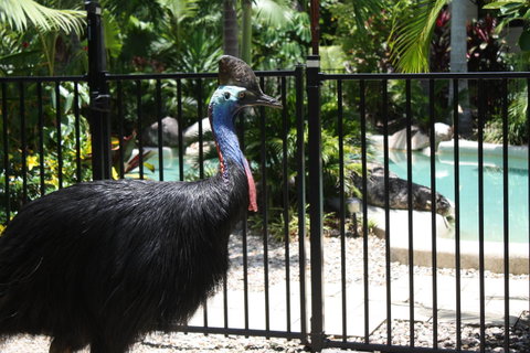 Boutique Bungalows - Accommodation Rockhampton 17