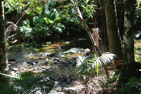 Boutique Bungalows - Accommodation Rockhampton 18