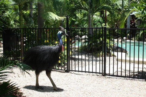 Boutique Bungalows - Accommodation Rockhampton 15