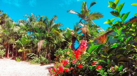 Boutique Bungalows - Accommodation Rockhampton 14