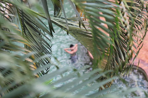 Coral Tree Inn - Accommodation Rockhampton 36