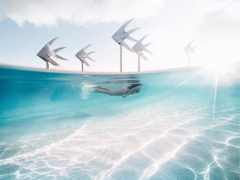 Coral Tree Inn - Accommodation Rockhampton 39