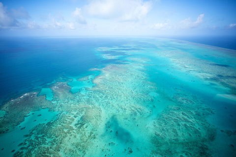 Coral Tree Inn - Accommodation Rockhampton 37