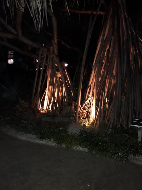 Pandanus Coolum Beach - Accommodation Rockhampton 10