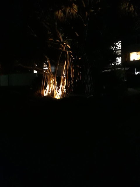 Pandanus Coolum Beach - Accommodation Rockhampton 8