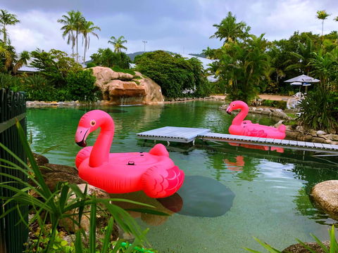 Cairns Colonial Club Resort - Accommodation Rockhampton 6