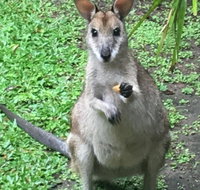 Bluewater Bed  Breakfast Cairns