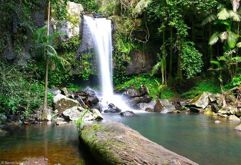 Curtis Falls Cottage - Accommodation Rockhampton 22
