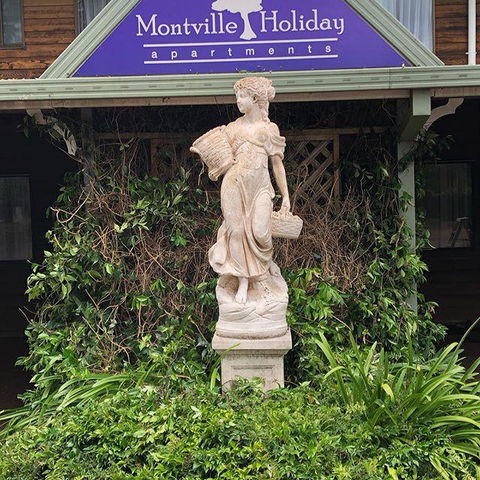 Montville Holiday Apartments - Accommodation Rockhampton 6