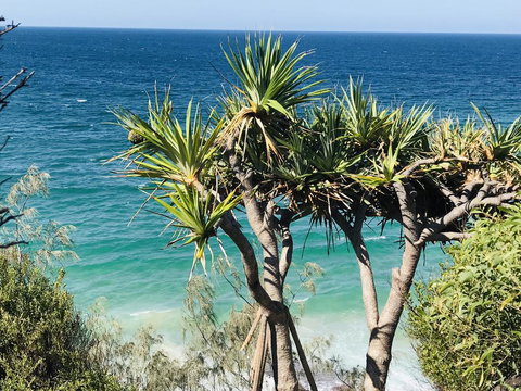 Waves And White Horses Seaview Retreat (adults Only) - Accommodation Rockhampton 0