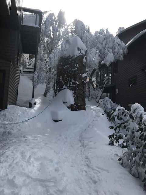 Winterbrook Chalet - Accommodation Rockhampton 2