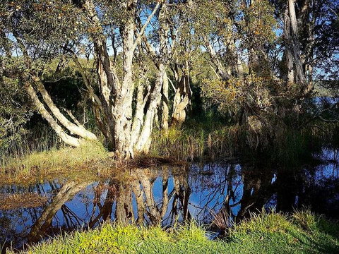 Wisteria Cottage On The Lagoon/Beach - Accommodation Rockhampton 2