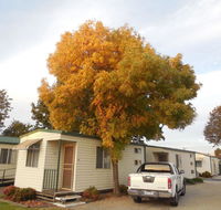 Wodonga Caravan  Cabin Park - Accommodation Rockhampton
