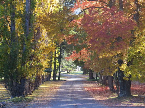 Wombeyan Caves - Accommodation Rockhampton 0