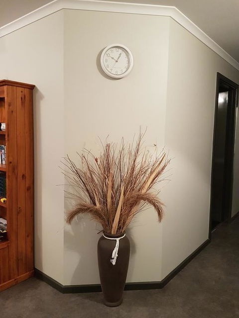 Wudinna Farm View - Accommodation Rockhampton 3