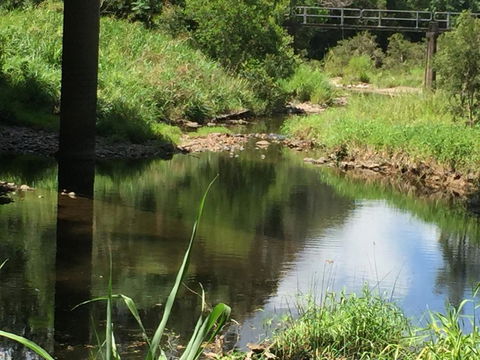 Yandina Caravan Park - Accommodation Rockhampton 2