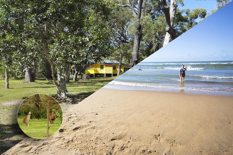 Yellow Cottage - Bush And Beach - Accommodation Rockhampton 0
