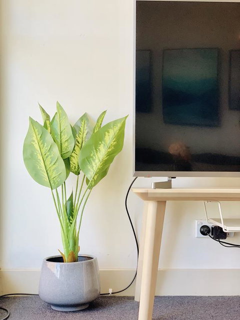 ZEN Homes On Collins - Accommodation Rockhampton 3