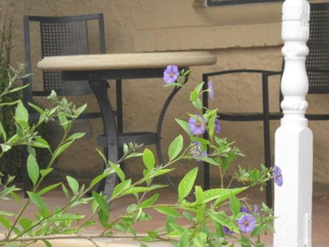 Amalie Cottage Waikerie Unit 1 - Accommodation Rockhampton 2