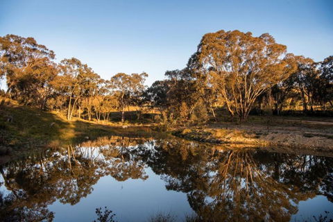 Amethyst - 1 Bed With Hot Tub - Kundalini Lodge - Accommodation Rockhampton 3