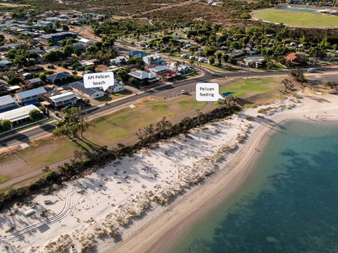 API Pelican Beach Front Apartments Kalbarri - Accommodation Rockhampton 1