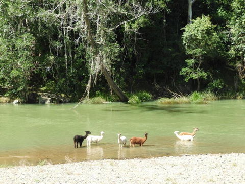Avalon River Retreat - 400 Acre Riverside Oasis - Accommodation Rockhampton 4
