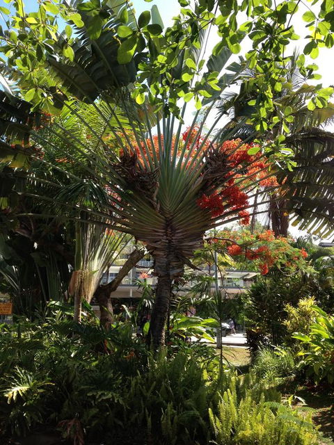 Port Douglas Apartments - Adults Only Oasis - Accommodation Rockhampton 39