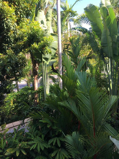 Port Douglas Apartments - Adults Only Oasis - Accommodation Rockhampton 1