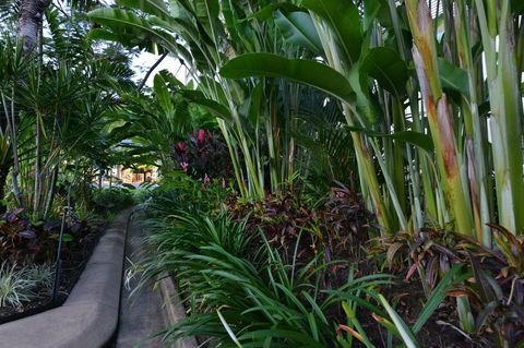 Port Douglas Apartments - Adults Only Oasis - Accommodation Rockhampton 9