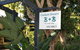 Coolum Dreams B&B - thumb 11