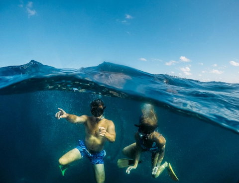 Manta Lodge YHA & Scuba Centre - Accommodation Rockhampton 12