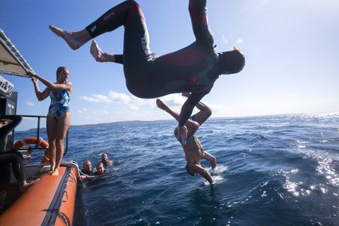 Manta Lodge YHA & Scuba Centre - Accommodation Rockhampton 11