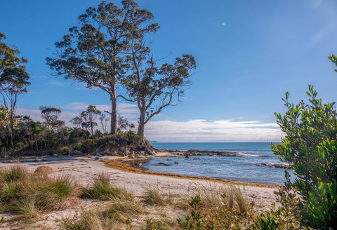 Adventure Bay Holiday Home - Accommodation Rockhampton 12