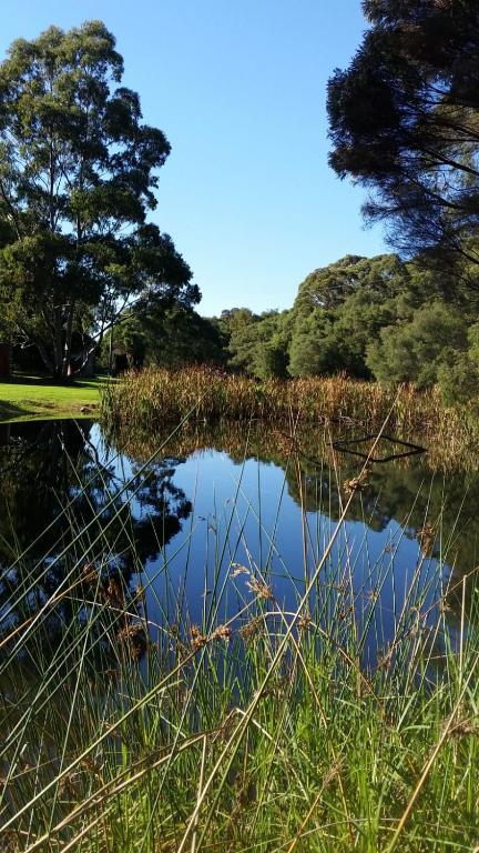 Crystal Springs Holiday Accommodation - Accommodation Rockhampton 0