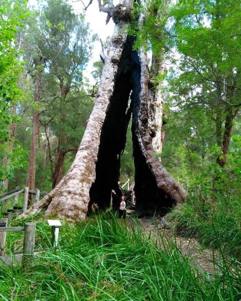 Crystal Springs Holiday Accommodation - Accommodation Rockhampton 3