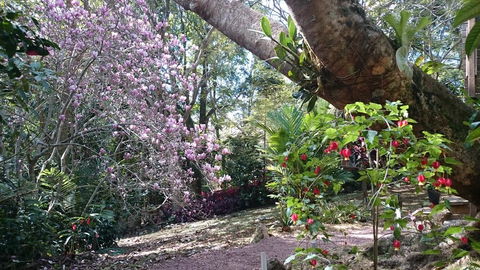 305 Montville - The Artist's Cottage - Accommodation Rockhampton 3